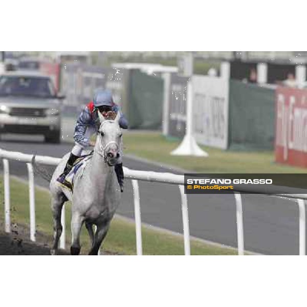 Dubai World Cup Dubai - Meydan racecourse 31st march 2012 ph.Stefano Grasso