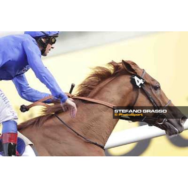 Dubai World Cup Dubai - Meydan racecourse 31st march 2012 ph.Stefano Grasso