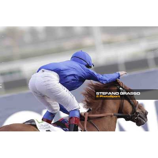 Dubai World Cup Dubai - Meydan racecourse 31st march 2012 ph.Stefano Grasso