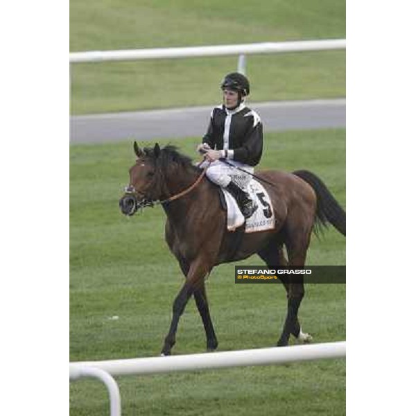 Dubai World Cup Dubai - Meydan racecourse 31st march 2012 ph.Stefano Grasso