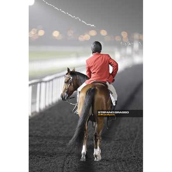 Dubai World Cup Dubai - Meydan racecourse 31st march 2012 ph.Stefano Grasso