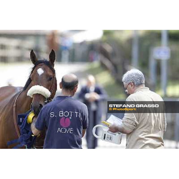 Touch of Luck Rome - Capannelle Racecourse, 6th april 2012 ph.Stefano Grasso