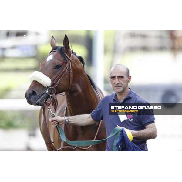 Touch of Luck Rome - Capannelle Racecourse, 6th april 2012 ph.Stefano Grasso