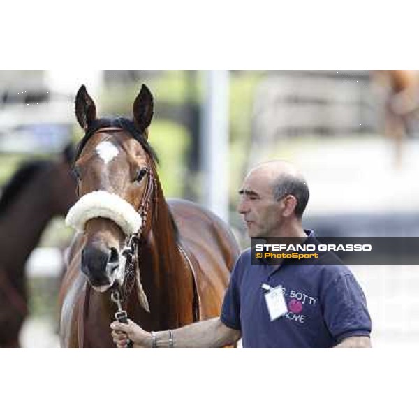 Touch of Luck Rome - Capannelle Racecourse, 6th april 2012 ph.Stefano Grasso