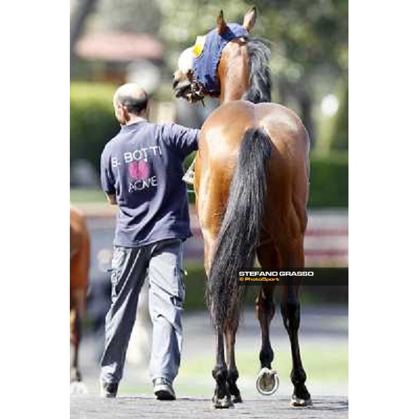 Touch of Luck Rome - Capannelle Racecourse, 6th april 2012 ph.Stefano Grasso