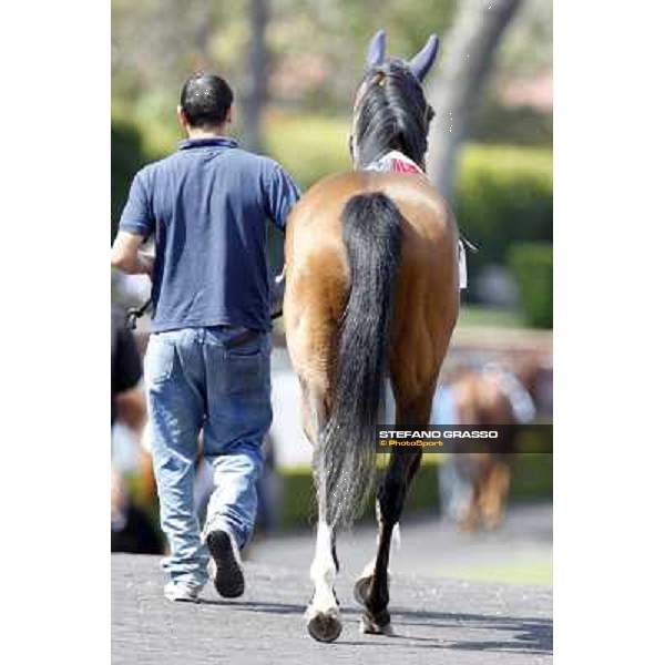 Rome - Capannelle Racecourse, 6th april 2012 ph.Stefano Grasso