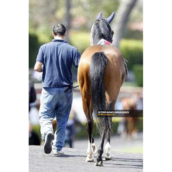 Rome - Capannelle Racecourse, 6th april 2012 ph.Stefano Grasso