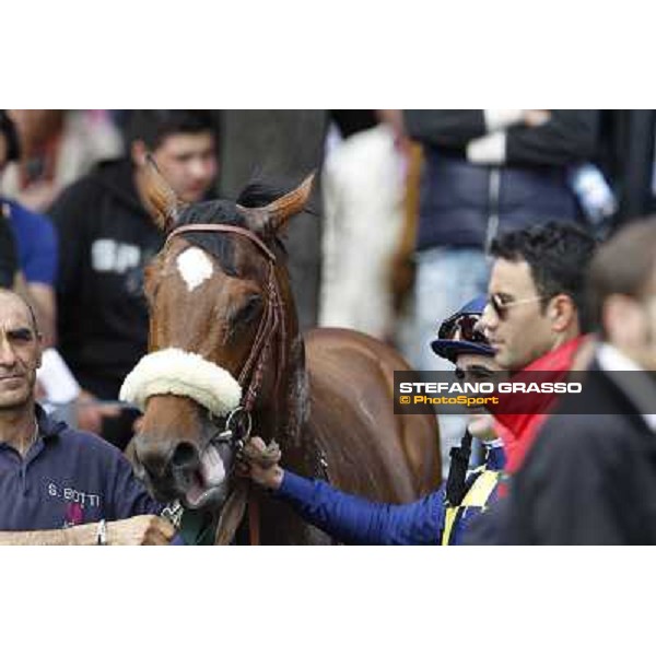 Fabio Branca and Touch of Luck Rome - Capannelle Racecourse, 6th april 2012 ph.Stefano Grasso