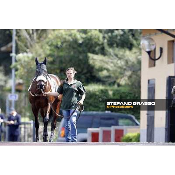 Blu Constellation Rome - Capannelle Racecourse, 6th april 2012 ph.Stefano Grasso