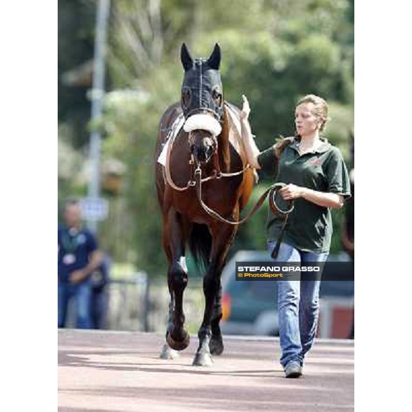 Blu Constellation Rome - Capannelle Racecourse, 6th april 2012 ph.Stefano Grasso