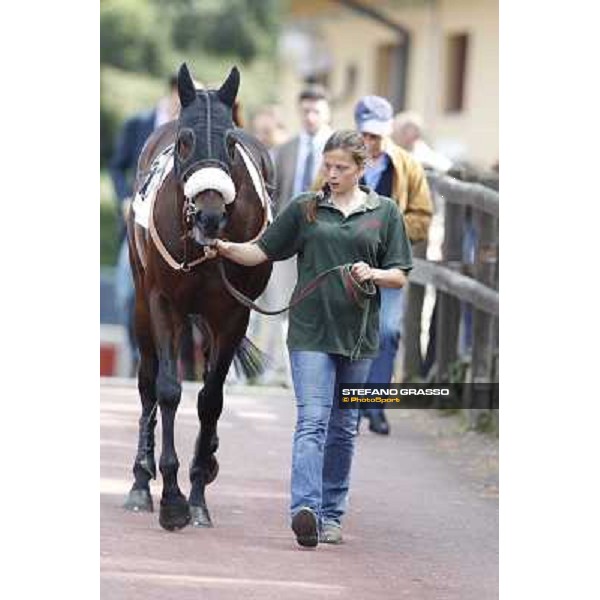 Blu Constellation Rome - Capannelle Racecourse, 6th april 2012 ph.Stefano Grasso