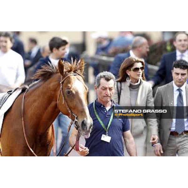 Il Supremo Rome - Capannelle Racecourse, 6th april 2012 ph.Stefano Grasso