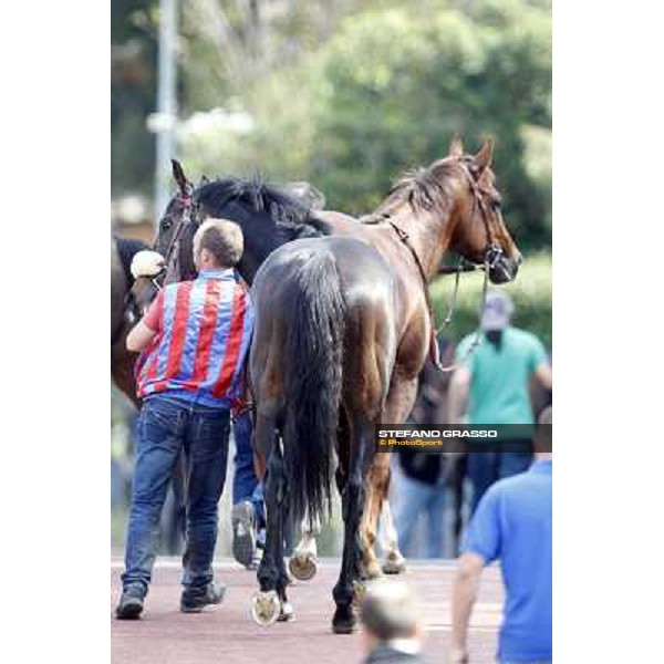 Airspace Rome - Capannelle Racecourse, 6th april 2012 ph.Stefano Grasso