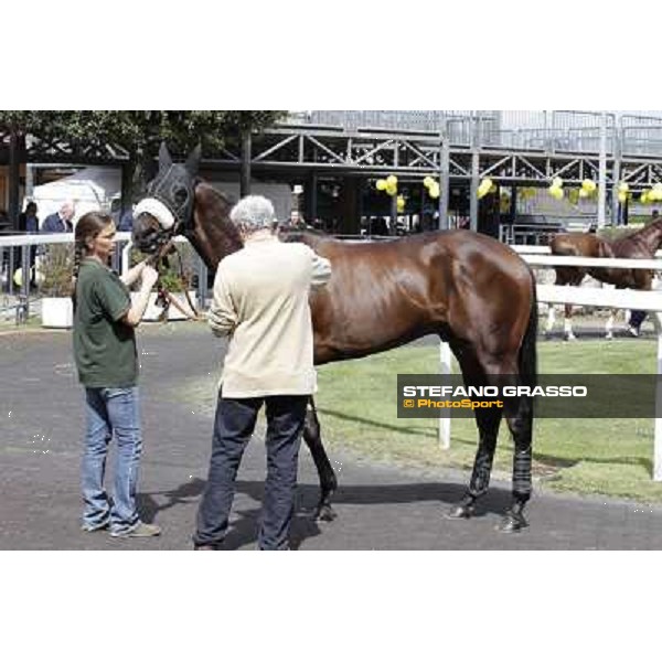 Blu Constellation Rome - Capannelle Racecourse, 6th april 2012 ph.Stefano Grasso