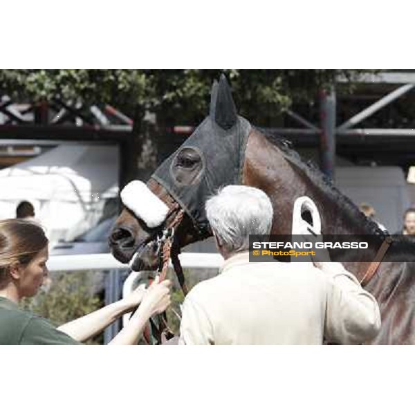 Blu Constellation Rome - Capannelle Racecourse, 6th april 2012 ph.Stefano Grasso