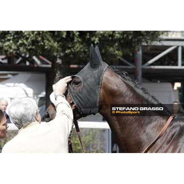 Blu Constellation Rome - Capannelle Racecourse, 6th april 2012 ph.Stefano Grasso