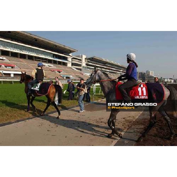 Polish Summer and Walkamia Sha Tin - morning Works Hong Kong 9th dec. 2004 ph. Stefano Grasso
