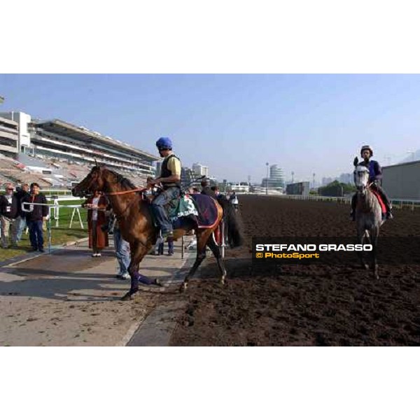 Polish Summer and Walkamia Sha Tin - morning Works Hong Kong 9th dec. 2004 ph. Stefano Grasso