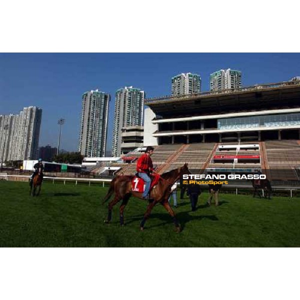 Latice Sha Tin - morning Works Hong Kong 9th dec. 2004 ph. Stefano Grasso