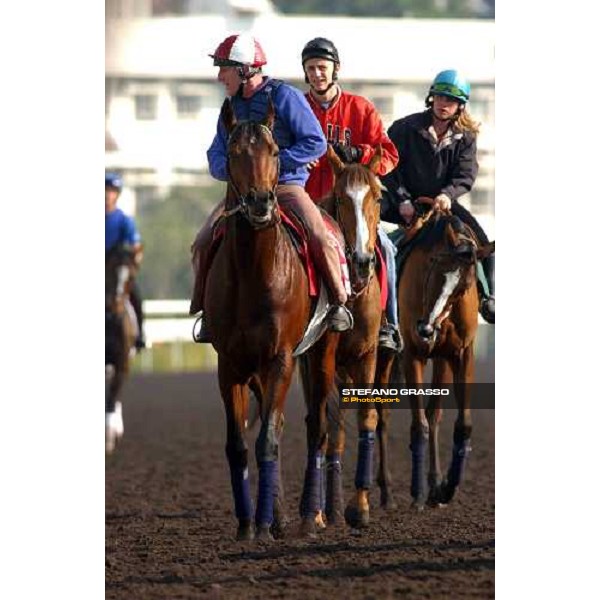 Touch of Land, Latice and Vallee Enchantee Sha Tin - morning Works Hong Kong 9th dec. 2004 ph. Stefano Grasso