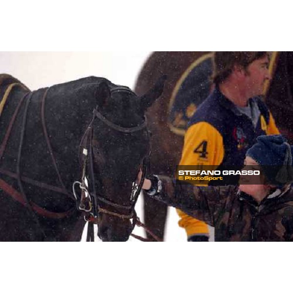 Cortina winter polo Cup 2004 Lake of Misurina febr. 21 2004 ph.Stefano Grasso