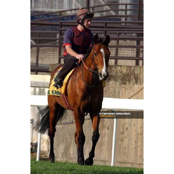 Royal Millennium Sha Tin - morning works Hong Kong 9th dec. 2004 ph. Stefano Grasso
