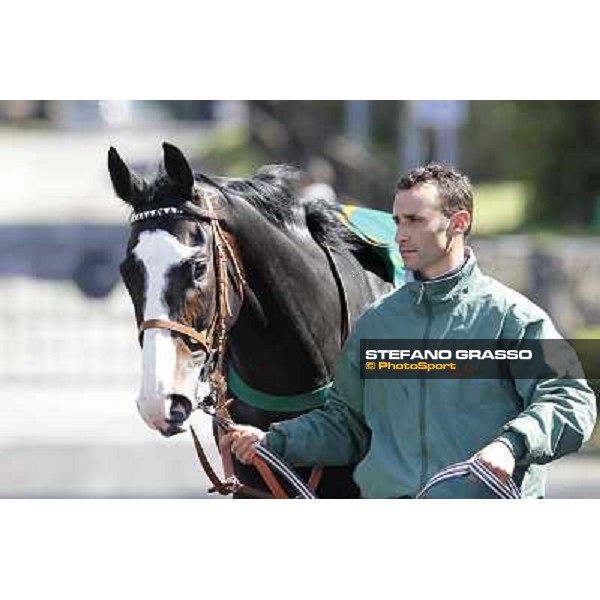 Vedelago walks in the paddock before the start of Premio Daumier Rome - Capannelle racecourse, 9th april 2012 photo Stefano Grasso