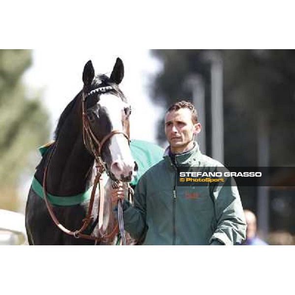 Vedelago walks in the paddock before the start of Premio Daumier Rome - Capannelle racecourse, 9th april 2012 photo Stefano Grasso