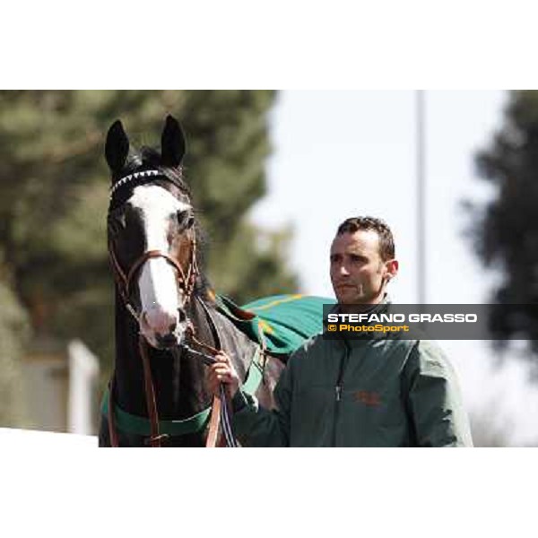 Vedelago walks in the paddock before the start of Premio Daumier Rome - Capannelle racecourse, 9th april 2012 photo Stefano Grasso