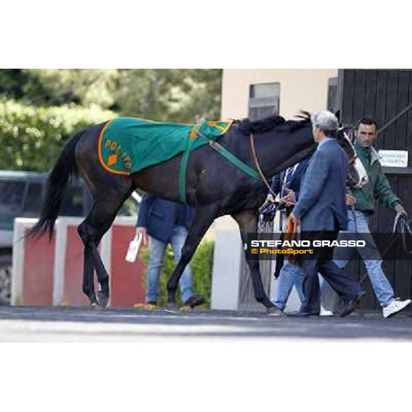 Luigi Polito and Vedelago in the paddock before the start of Premio Daumier Rome - Capannelle racecourse, 9th april 2012 photo Stefano Grasso