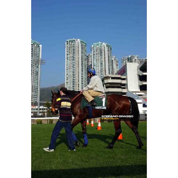 Warrsan Sha Tin - morning works Hong Kong 9th dec. 2004 ph. Stefano Grasso