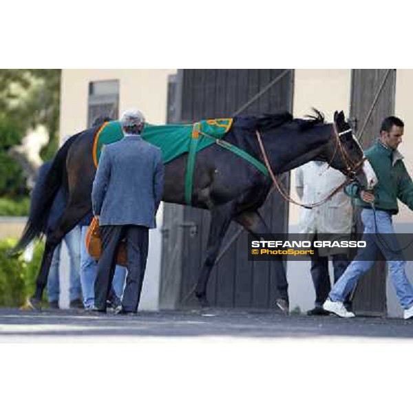 Luigi Polito and Vedelago in the paddock before the start of Premio Daumier Rome - Capannelle racecourse, 9th april 2012 photo Stefano Grasso