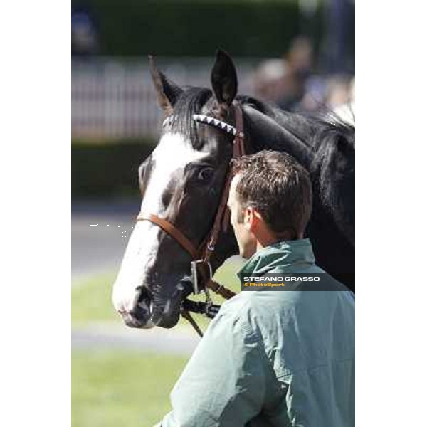 Vedelago walks in the paddock before the start of Premio Daumier Rome - Capannelle racecourse, 9th april 2012 photo Stefano Grasso