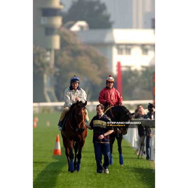 Warrsan and Var Sha Tin - morning works Hong Kong 9th dec. 2004 ph. Stefano Grasso