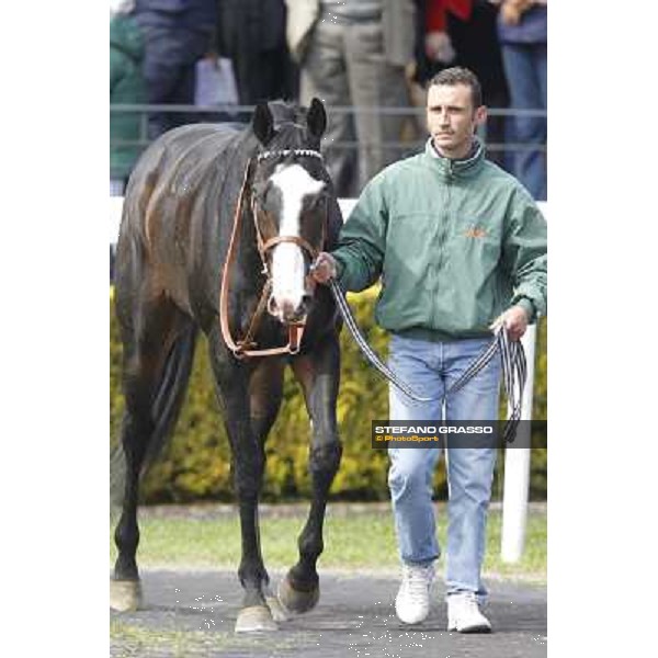Vedelago and his groom walk in the paddock after winning the Premio Daumier Rome - Capannelle racecourse, 9th april 2012 photo Stefano Grasso
