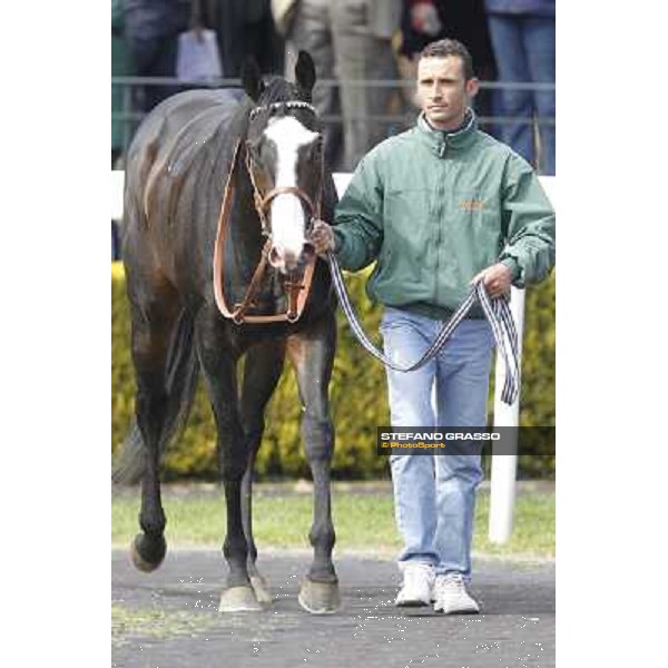 Vedelago and his groom walk in the paddock after winning the Premio Daumier Rome - Capannelle racecourse, 9th april 2012 photo Stefano Grasso