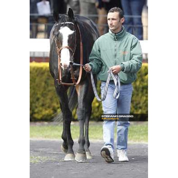 Vedelago and his groom walk in the paddock after winning the Premio Daumier Rome - Capannelle racecourse, 9th april 2012 photo Stefano Grasso