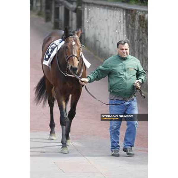 Libano Rome - Capannelle racecourse, 9th april 2012 photo Stefano Grasso