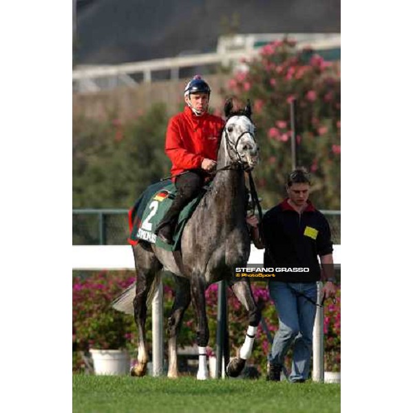 Simonas Sha Tin - morning works Hong Kong 9th dec. 2004 ph. Stefano Grasso