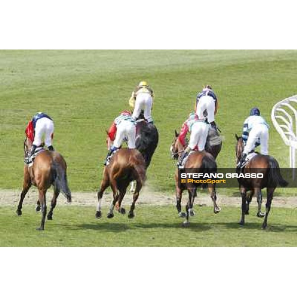 A group of horses after the post Rome - Capannelle racecourse, 9th april 2012 photo Stefano Grasso