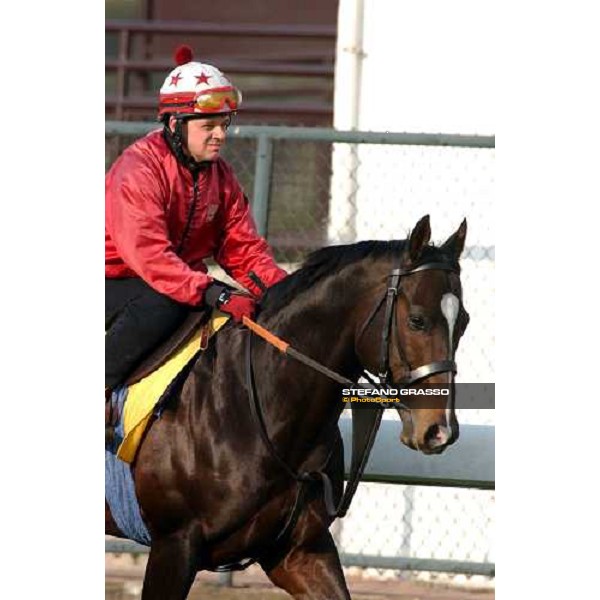 Var Sha Tin - morning works Hong Kong 9th dec. 2004 ph. Stefano Grasso