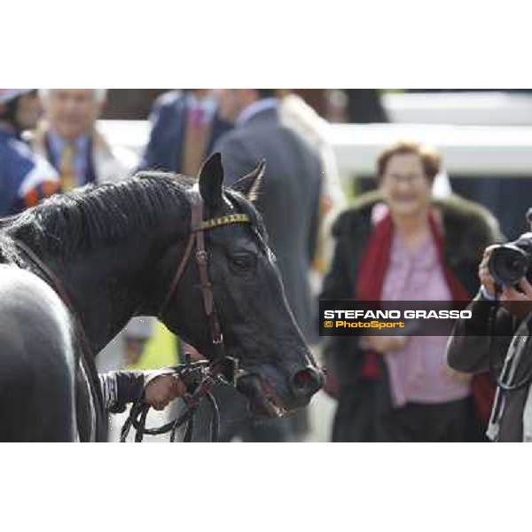 Rio Black Rome - Capannelle racecourse, 9th april 2012 photo Stefano Grasso