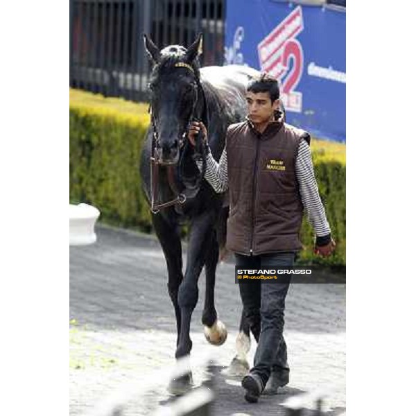 Rio Black Rome - Capannelle racecourse, 9th april 2012 photo Stefano Grasso