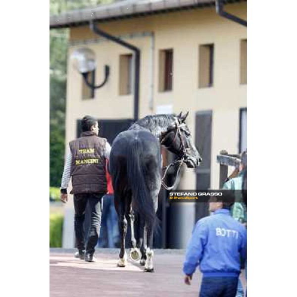 Rio Black Rome - Capannelle racecourse, 9th april 2012 photo Stefano Grasso