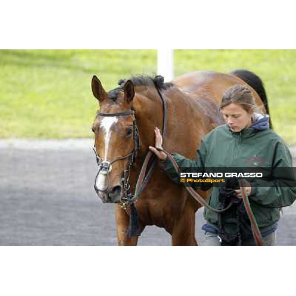 Wedding Fair and her groom after winning the Premio Minstrel Rome - Capannelle racecourse, 9th april 2012 photo Stefano Grasso