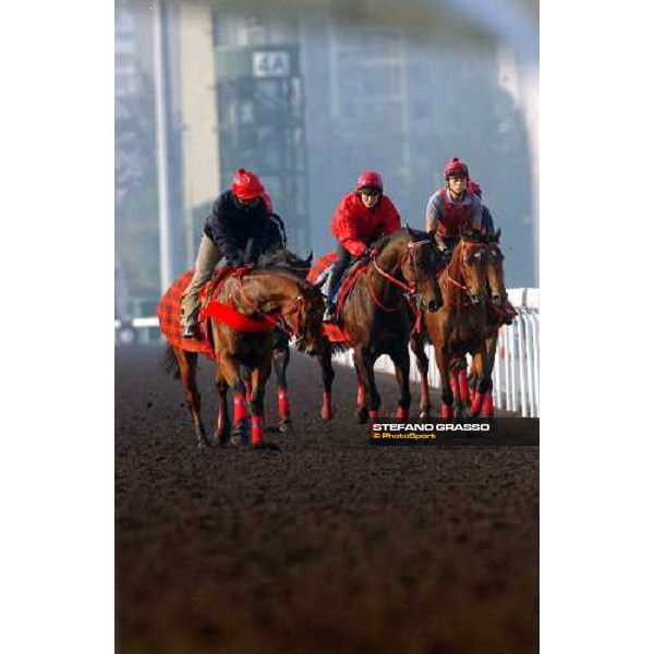 morning works at Sha Tin Hong Kong 9th dec. 2004 ph. Stefano Grasso