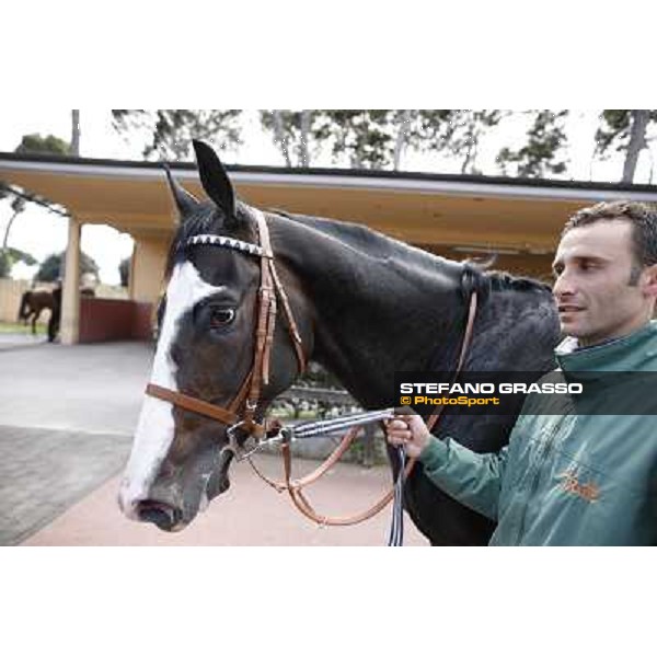 Vedelago returns home after winning the Premio Daumier Rome - Capannelle racecourse, 9th april 2012 photo Stefano Grasso