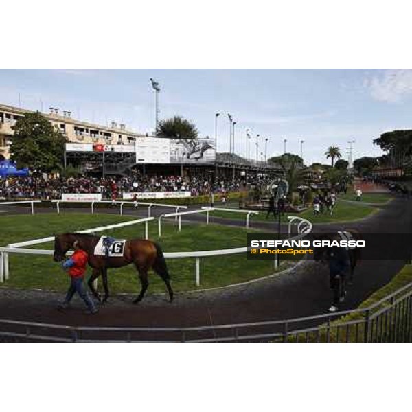 The Paddock Rome - Capannelle racecourse, 9th april 2012 photo Stefano Grasso