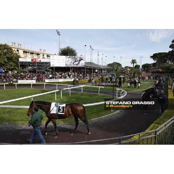 The Paddock Rome - Capannelle racecourse, 9th april 2012 photo Stefano Grasso