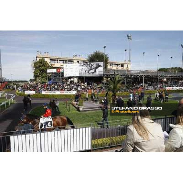 The Paddock Rome - Capannelle racecourse, 9th april 2012 photo Stefano Grasso